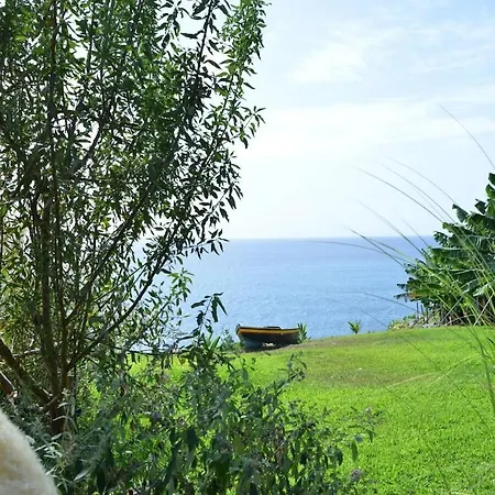 Quinta Golfinho - Palmeira
