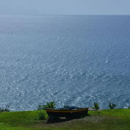 Quinta Golfinho - Palmeira Daire Arco da Calheta (Madeira)
