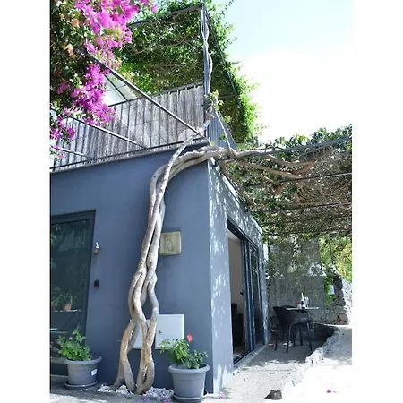 Quinta Golfinho - Palmeira Daire