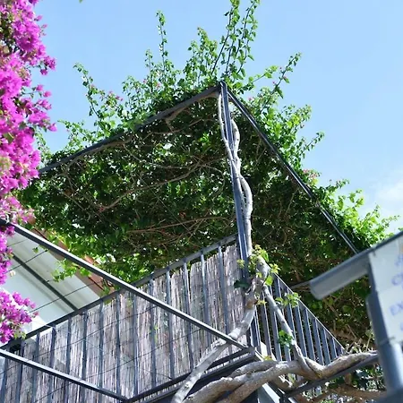 Quinta Golfinho - Palmeira Daire