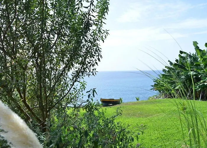 Quinta Golfinho - Palmeira